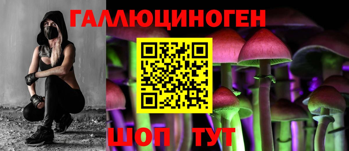 Псилоцибиновые грибы прущие грибы Дивногорск